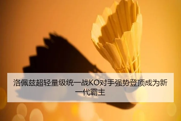 luo-pei-zi-chao-qing-liang-ji-tong-yi-zhan-dui-shou-qiang-shi-deng-ding-cheng-wei-xin-yi-dai-ba-zhu-3-225.jpg