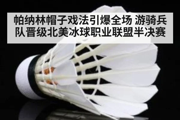 帕纳林帽子戏法引爆全场 游骑兵队晋级北美冰球职业联盟半决赛