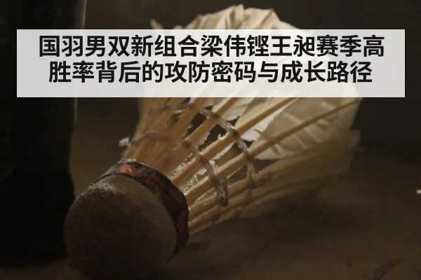 国羽男双新组合梁伟铿王昶赛季高胜率背后的攻防密码与成长路径