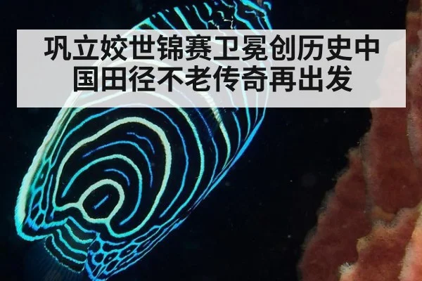 巩立姣世锦赛卫冕创历史中国田径不老传奇再出发